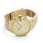 トミーヒルフィガー Gold Steel Men's Multi-function Watch 1710415 画像 2