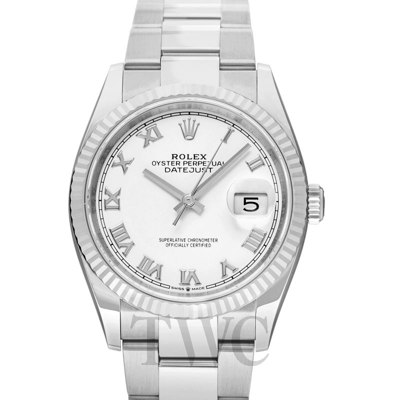 126234 White Roman Oysterの画像