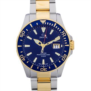 ジャガー Executive J863/C